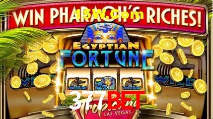 Estatísticas do Jogo 377Bet